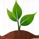 Illustration of a healthy plant sprout with a compost heap nearby